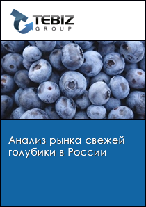 Анализ рынка свежей голубики в России