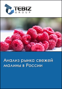 Анализ рынка свежей малины в России