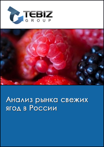 Анализ рынка свежих ягод в России