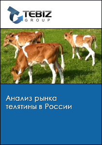 Анализ рынка телятины в России