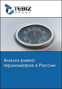 Анализ рынка термометров в России