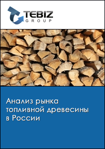 Анализ рынка топливной древесины в России