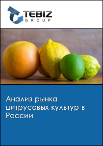 Анализ рынка цитрусовых культур в России