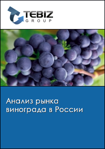 Анализ рынка винограда в России