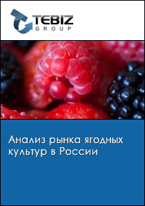 Анализ рынка ягодных культур в России