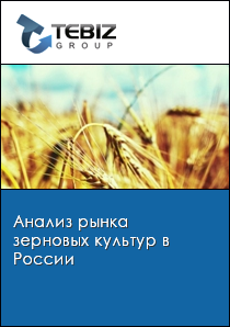 Анализ рынка зерновых культур в России 2024  Маркетинговое исследование рынка рф  2023  Компании  По регионам