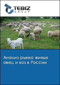 Анализ рынка живых овец и коз в России