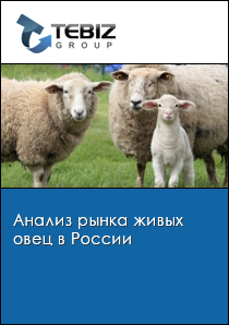 Анализ рынка живых овец в России