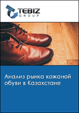 Обложка Анализ рынка кожаной обуви в Казахстане