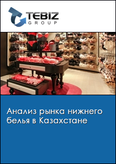 Обложка Анализ рынка нижнего белья в Казахстане