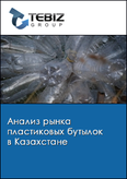 Обложка Анализ рынка пластиковых бутылок в Казахстане