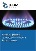 Обложка Анализ рынка природного газа в Казахстане
