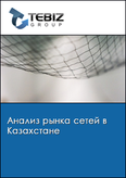 Обложка Анализ рынка сетей в Казахстане
