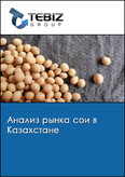 Обложка Анализ рынка сои в Казахстане