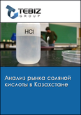 Обложка Анализ рынка соляной кислоты в Казахстане