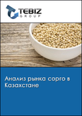 Обложка Анализ рынка сорго в Казахстане