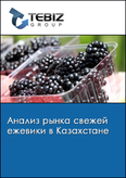 Обложка Анализ рынка свежей ежевики в Казахстане