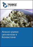 Обложка Анализ рынка целлюлозы в Казахстане
