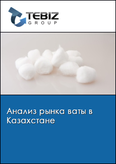 Обложка Анализ рынка ваты в Казахстане