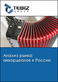Обложка Анализ рынка аккордеонов в России