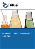 Обложка Анализ рынка аминов в России