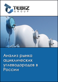Обложка Анализ рынка ациклических углеводородов в России