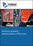 Обложка Анализ рынка автохимии в России