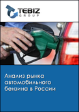 Обложка Анализ рынка автомобильного бензина в России