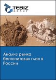Обложка Анализ рынка бентонитовых глин в России