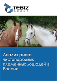 Обложка Анализ рынка чистопородных племенных лошадей в России