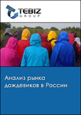 Обложка Анализ рынка дождевиков в России