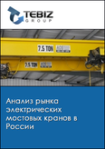 Обложка Анализ рынка электрических мостовых кранов в России