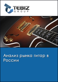 Обложка Анализ рынка гитар в России