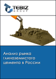 Обложка Анализ рынка глиноземистого цемента в России