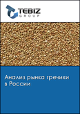 Обложка Анализ рынка гречихи в России