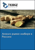 Обложка Анализ рынка имбиря в России