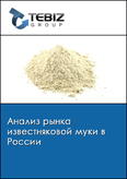 Обложка Анализ рынка известняковой муки в России