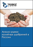 Обложка Анализ рынка калийных удобрений в России