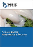 Обложка Анализ рынка кальмаров в России