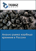 Обложка Анализ рынка карбида кремния в России