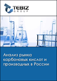 Обложка Анализ рынка карбоновых кислот и производных в России