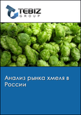Обложка Анализ рынка хмеля в России