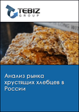 Обложка Анализ рынка хрустящих хлебцев в России
