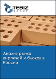 Обложка Анализ рынка кирпичей и блоков в России