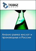 Обложка Анализ рынка кислот и производных в России