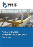 Обложка Анализ рынка конвейерных весов в России
