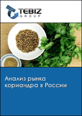 Обложка Анализ рынка кориандра в России
