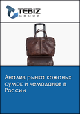 Обложка Анализ рынка кожаных сумок и чемоданов в России