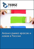 Обложка Анализ рынка красок и лаков в России