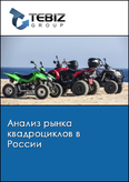 Обложка Анализ рынка квадроциклов в России